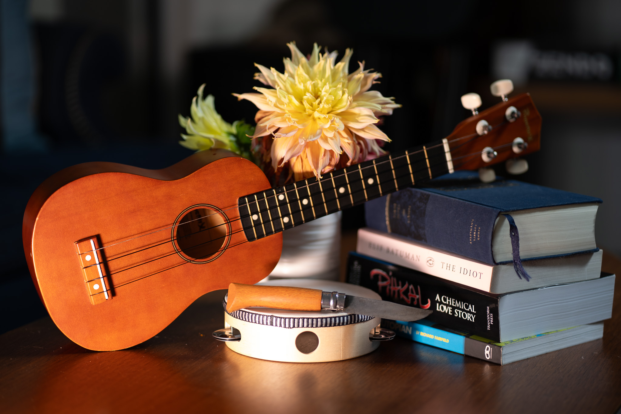 Still life with ukulele and books
