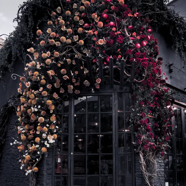 Roses.