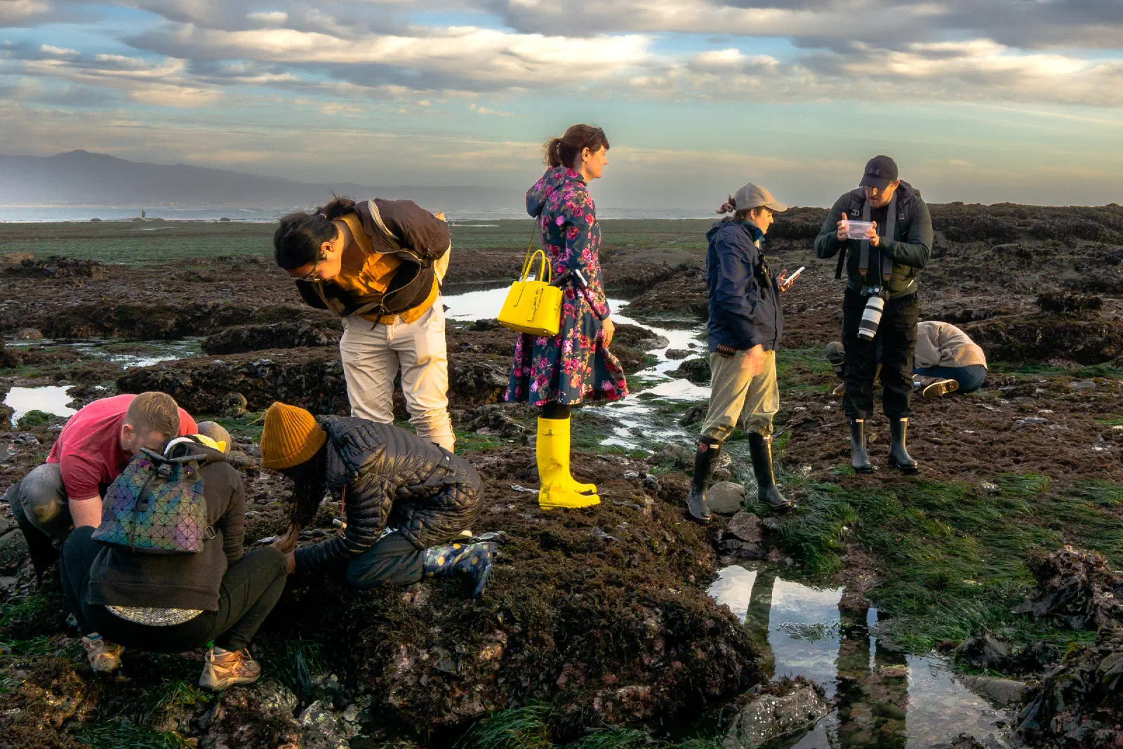 Tide pools
