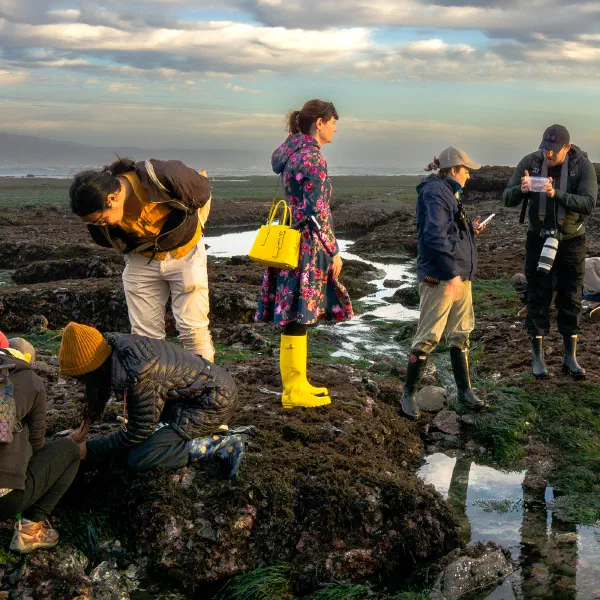 Tide pools