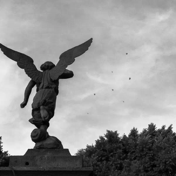 I want to be free.
