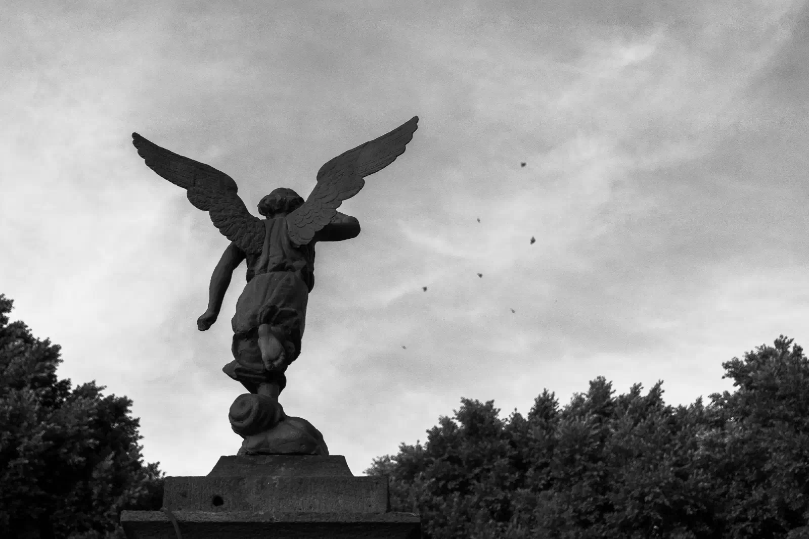 I want to be free.