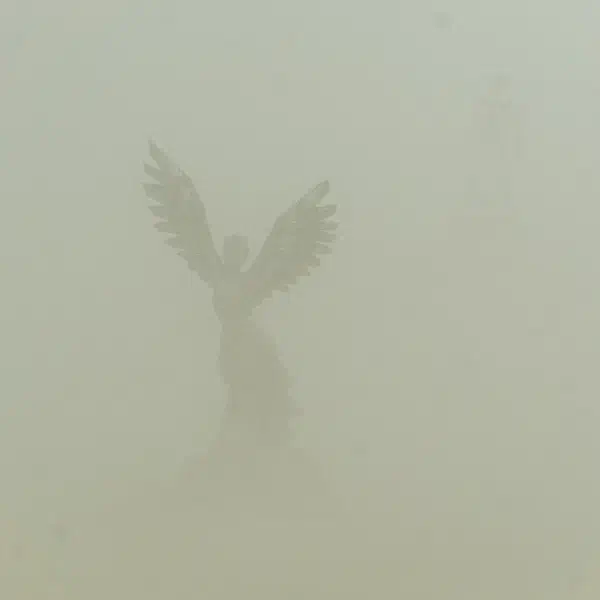 Dust angel.